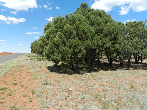 2764 Apollo Cir, Overgaard, AZ 85933 photo 7