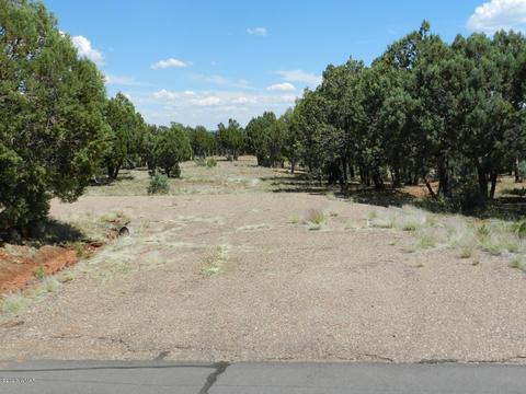 2764 Apollo Cir, Overgaard, AZ 85933 photo 6