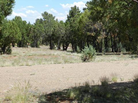 2764 Apollo Cir, Overgaard, AZ 85933 photo 5