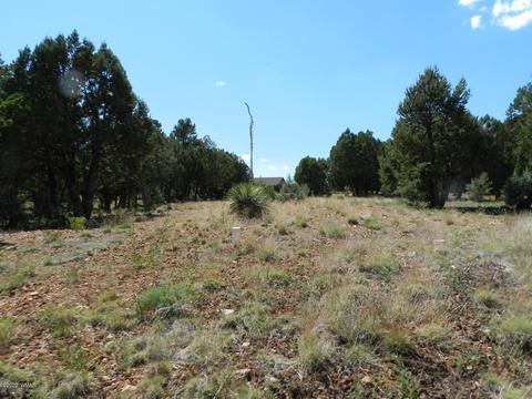2764 Apollo Cir, Overgaard, AZ 85933 photo 15