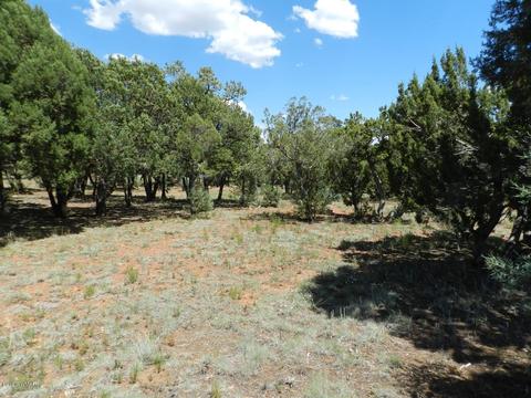 2764 Apollo Cir, Overgaard, AZ 85933 photo 8