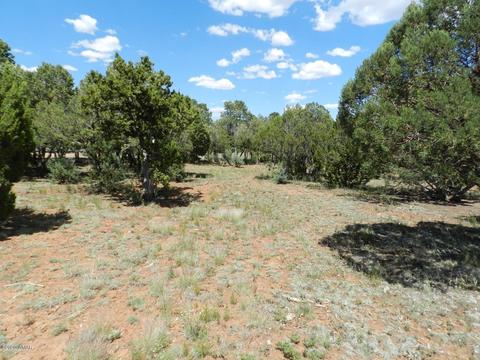 2764 Apollo Cir, Overgaard, AZ 85933 photo 9