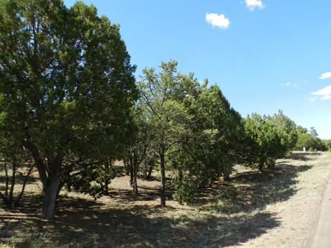 2764 Apollo Cir, Overgaard, AZ 85933 photo 18
