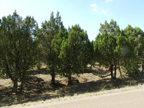 2764 Apollo Cir, Overgaard, AZ 85933 photo 19