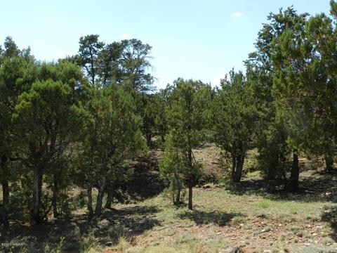2764 Apollo Cir, Overgaard, AZ 85933 photo 20