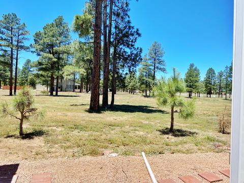 2720 Stagecoach Blvd, Overgaard, AZ 85933 photo 18