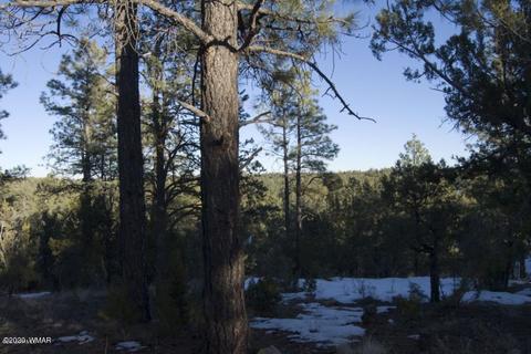 2981 Ranch House Rd, Overgaard, AZ 85933 photo 4