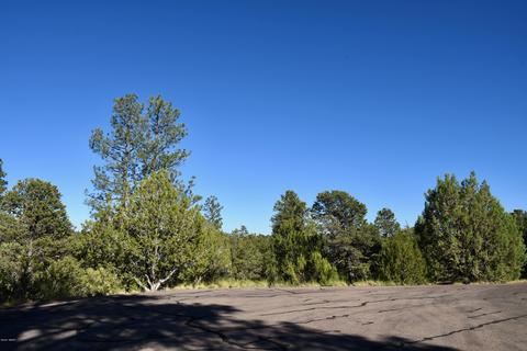 2981 Ranch House Rd, Overgaard, AZ 85933 photo 6