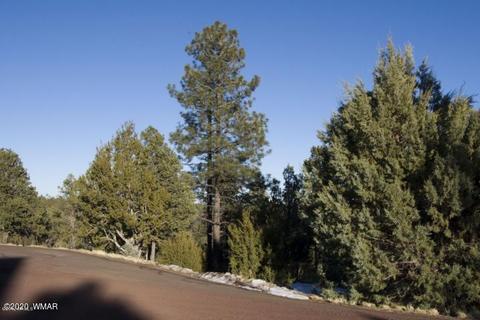 2981 Ranch House Rd, Overgaard, AZ 85933 photo 2