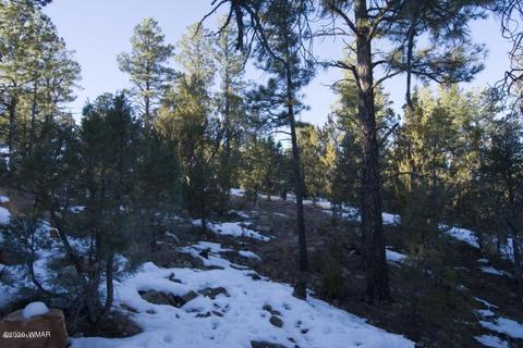 2981 Ranch House Rd, Overgaard, AZ 85933 photo 3