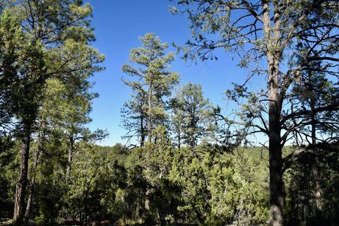 2981 Ranch House Rd, Overgaard, AZ 85933 photo 10
