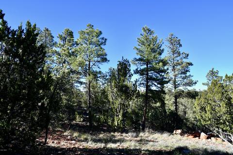2981 Ranch House Rd, Overgaard, AZ 85933 photo 8