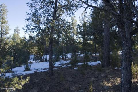 2981 Ranch House Rd, Overgaard, AZ 85933 photo 5