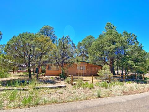 2191 Western Star, Overgaard, AZ 85933 photo 3