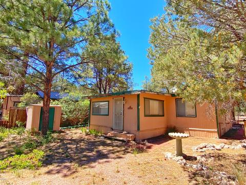 2191 Western Star, Overgaard, AZ 85933 photo 1