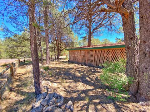 2191 Western Star, Overgaard, AZ 85933 photo 6