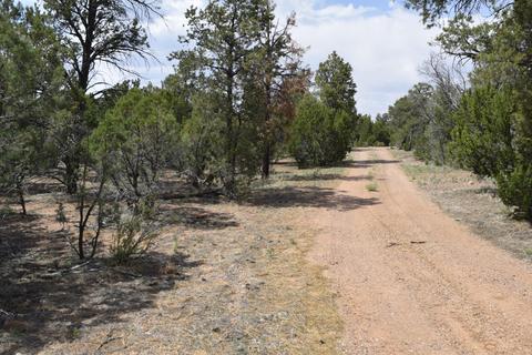 3338 Rustic Ct, Overgaard, AZ 85928 photo 5