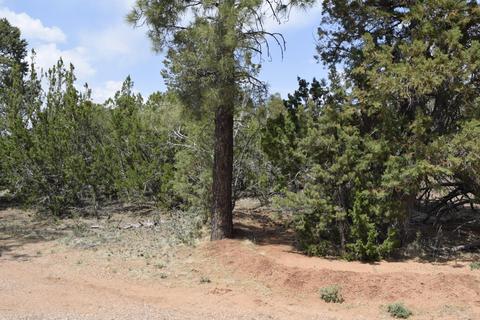 3338 Rustic Ct, Overgaard, AZ 85928 photo 3