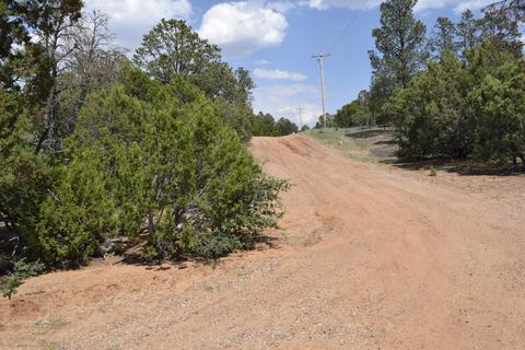3338 Rustic Ct, Overgaard, AZ 85928 photo 2