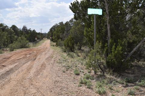 3338 Rustic Ct, Overgaard, AZ 85928 photo 1