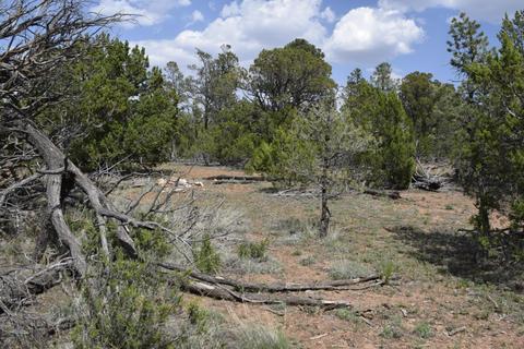 3338 Rustic Ct, Overgaard, AZ 85928 photo 10