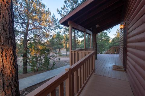 2836 Lodgepole Rd, Overgaard, AZ 85933 photo 25