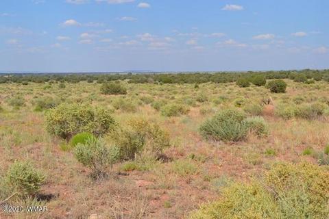 8775 E Concho Hwy, Snowflake, AZ 85937 photo 4