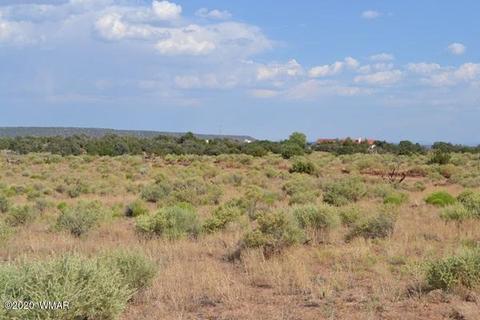 8775 E Concho Hwy, Snowflake, AZ 85937 photo 3