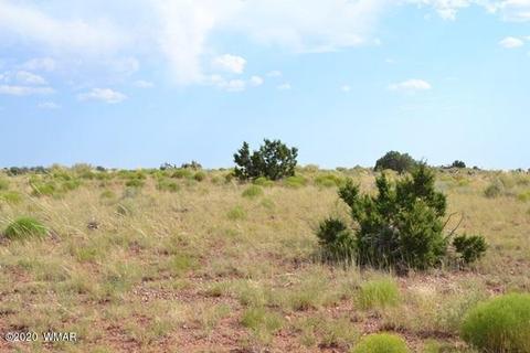 8775 E Concho Hwy, Snowflake, AZ 85937 photo 7