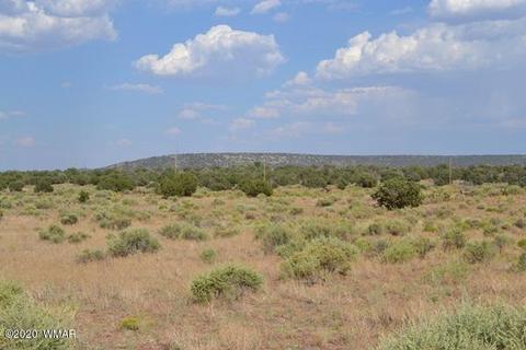 8775 E Concho Hwy, Snowflake, AZ 85937 photo 1