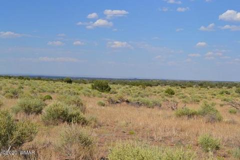 8775 E Concho Hwy, Snowflake, AZ 85937 photo 12