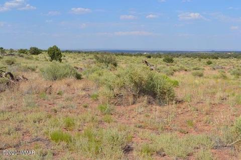 8775 E Concho Hwy, Snowflake, AZ 85937 photo 5