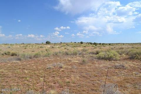 8775 E Concho Hwy, Snowflake, AZ 85937 photo 6
