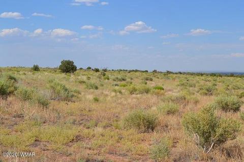 8775 E Concho Hwy, Snowflake, AZ 85937 photo 11
