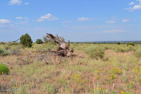 8775 E Concho Hwy, Snowflake, AZ 85937 photo 10