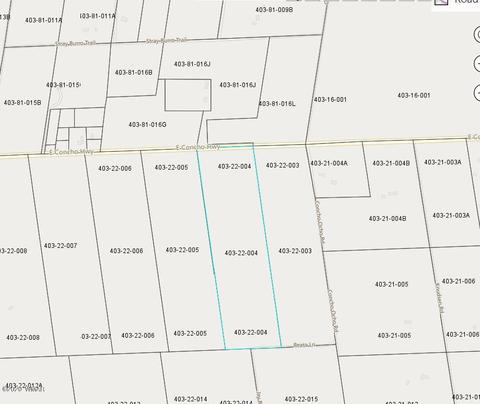 8775 E Concho Hwy, Snowflake, AZ 85937 photo 13