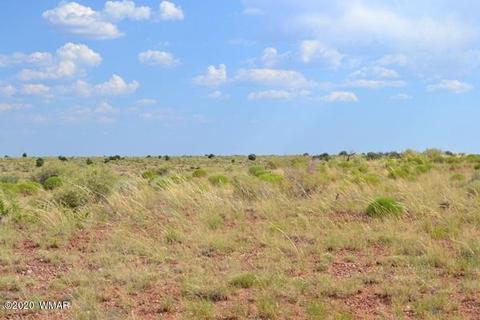 8775 E Concho Hwy, Snowflake, AZ 85937 photo 8