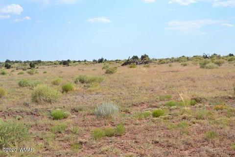 8775 E Concho Hwy, Snowflake, AZ 85937 photo 9