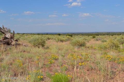 8775 E Concho Hwy, Snowflake, AZ 85937 photo 2