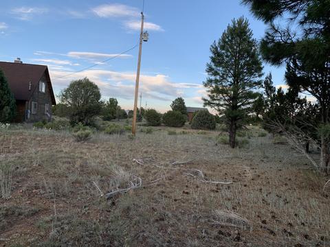 2227 Meadow Ln, Overgaard, AZ 85933 photo 11