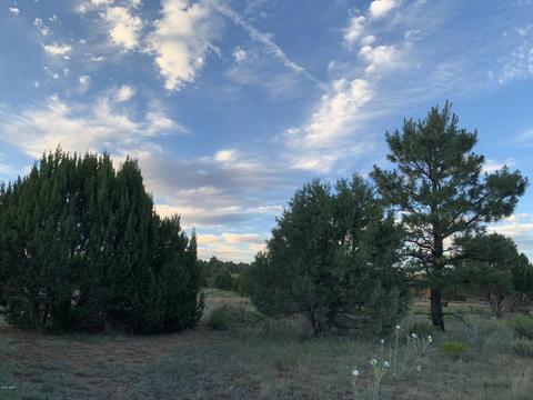 2227 Meadow Ln, Overgaard, AZ 85933 photo 13