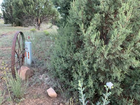2227 Meadow Ln, Overgaard, AZ 85933 photo 7
