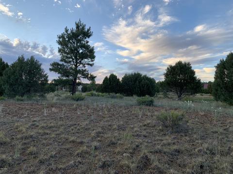 2227 Meadow Ln, Overgaard, AZ 85933 photo 9