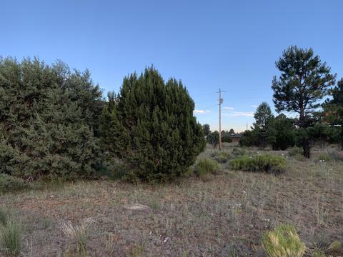 2227 Meadow Ln, Overgaard, AZ 85933 photo 3