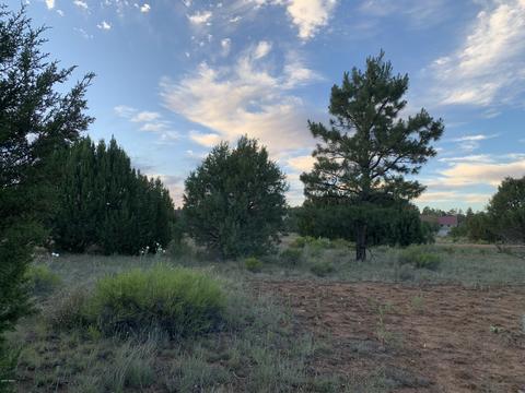 2227 Meadow Ln, Overgaard, AZ 85933 photo 12
