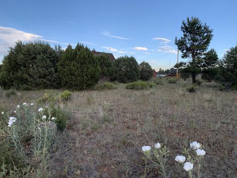 2227 Meadow Ln, Overgaard, AZ 85933 photo 4