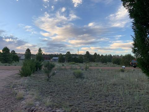 2227 Meadow Ln, Overgaard, AZ 85933 photo 15