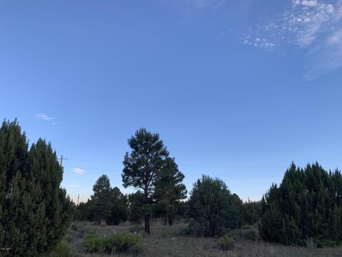 2227 Meadow Ln, Overgaard, AZ 85933 photo 17