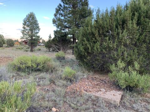 2227 Meadow Ln, Overgaard, AZ 85933 photo 14