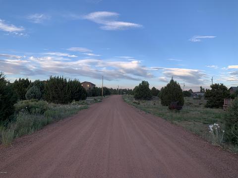 2227 Meadow Ln, Overgaard, AZ 85933 photo 6